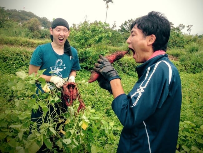 台湾で自然農法のボランティア活動をする学生