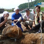 村おこしボランティア中之島コースで足湯の東屋造りのために穴を掘った参加者