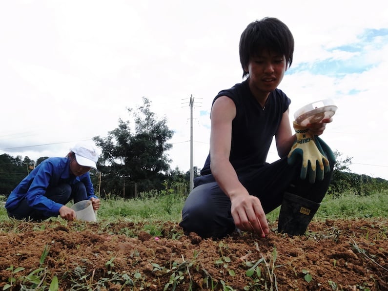村おこしボランティア【ベトナム ダサ村コース】で優しくトウモロコシの種を土に埋めるイケメン