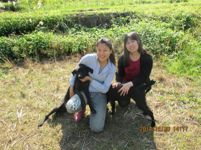 台湾ボランティアの合間に、幸福農荘の2匹の犬と台湾人ボランティアの方と。