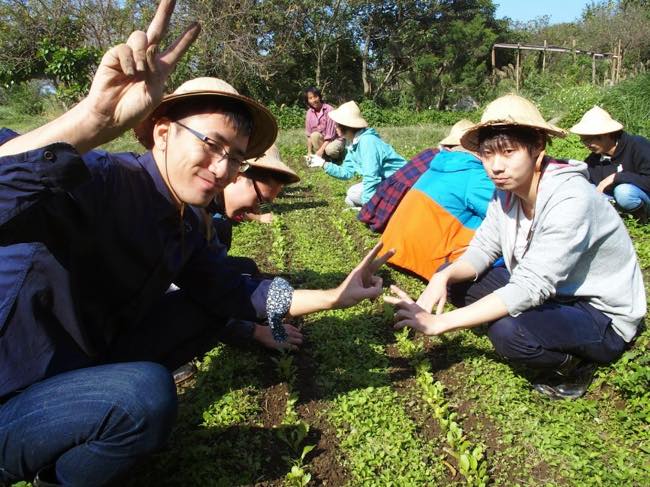 台湾のボランティアツアーで畑仕事に精を出す参加者
