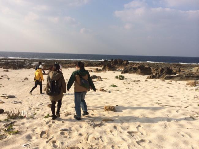 村おこしボランティア【宝島コース】にて白い砂浜を歩く参加者