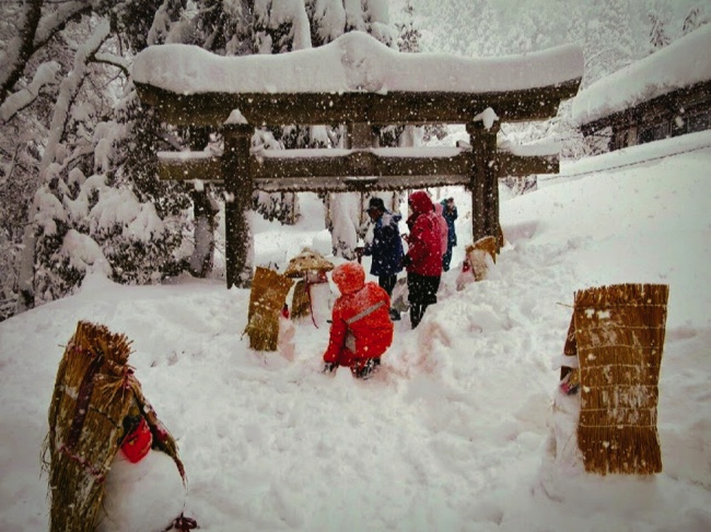 村おこしボランティア【勝山市北谷コース】で雪だるまの救出をする学生ボランティア