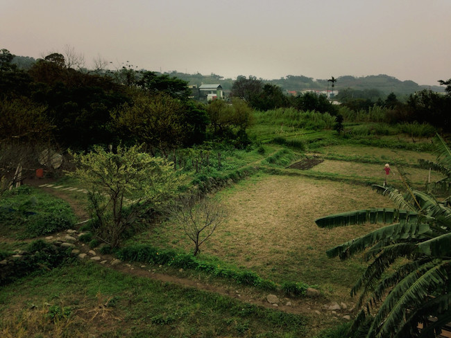 村おこしボランティア【台湾 淡水コース】での自然農法ボランティアでお世話になっている圃場