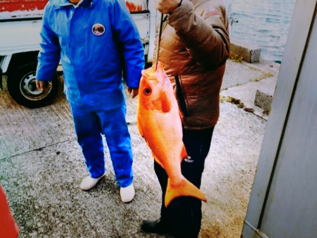 宝島で大きな魚が釣れました！