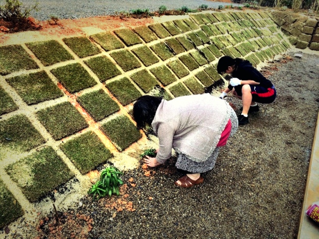 村おこしボランティア【沖縄やんばるコース】の民泊先で花壇づくりのお手伝いをする学生ボランティア