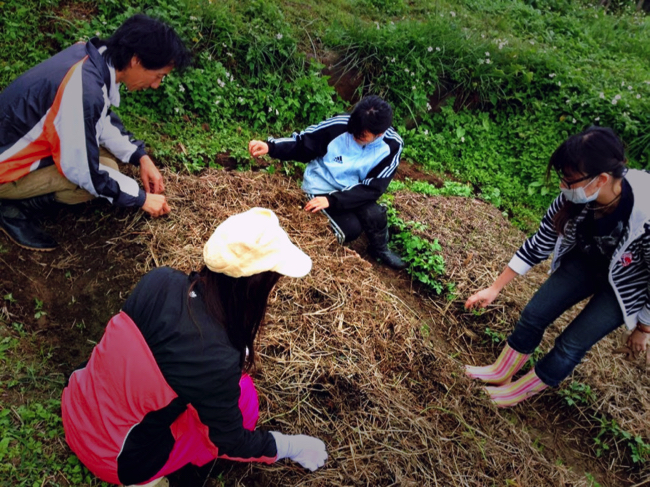 村おこしボランティア【台湾 淡水コース】での農業ボランティアの様子