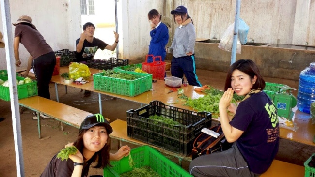 村おこしボランティア【ベトナム コース】での農業ボランティアの様子