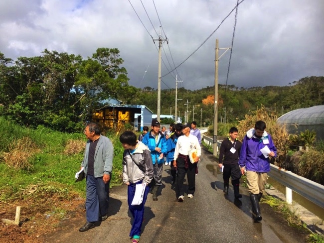 村おこしボランティア【沖縄やんばるコース】で集落散策をする学生ボランティア