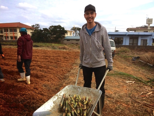 村おこしボランティア【沖縄やんばるコース】での農業ボランティアの様子
