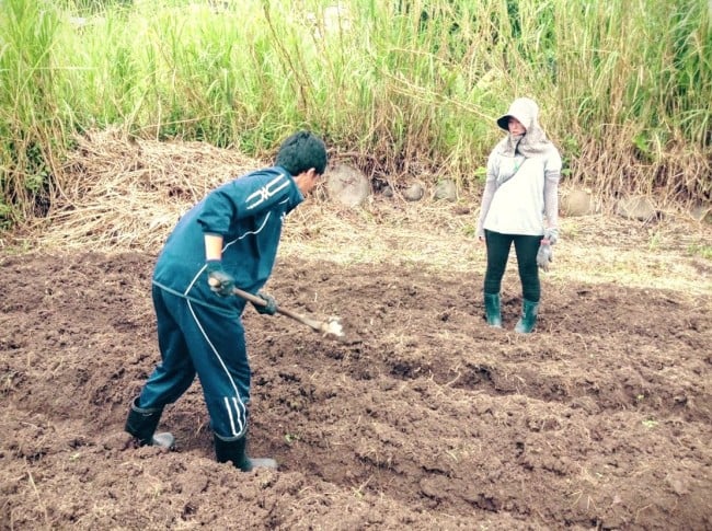 台湾で畑を耕す学生ボランティア