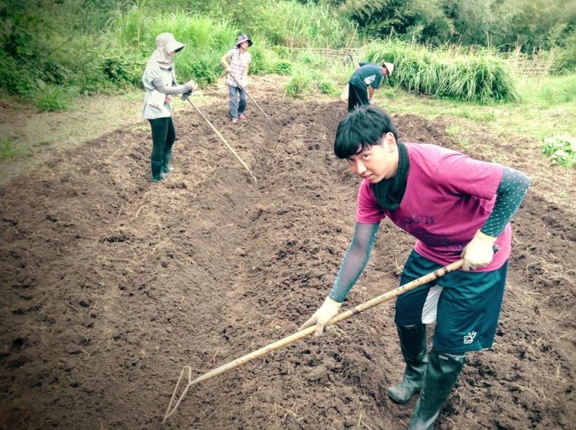 畑を耕す学生ボランティア