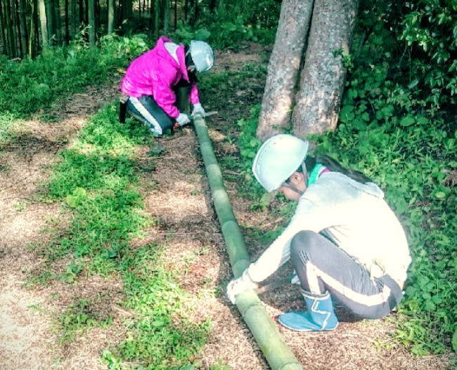 竹林整備をする学生ボランティア