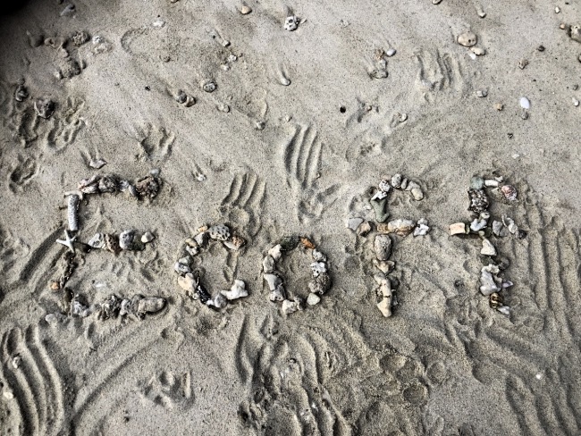 砂に書いた「ECOFF」