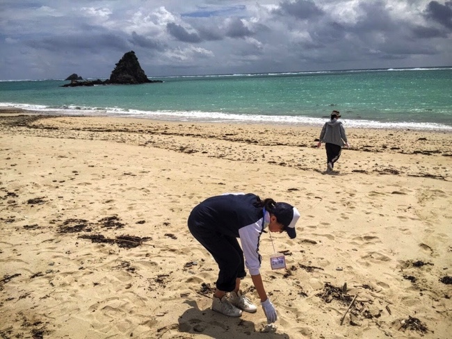 沖縄やんばるでの海岸清掃ボランティアをする学生たち