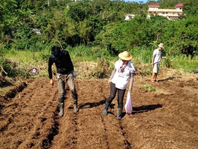 自然農法を実践する台湾の農家でボランティア活動をする学生