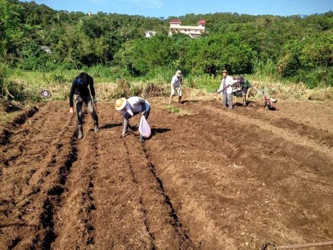 自然農法を実践する台湾の農家でボランティア活動をする学生