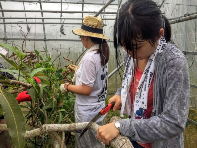 沖縄やんばるでボランティア活動をする学生たち
