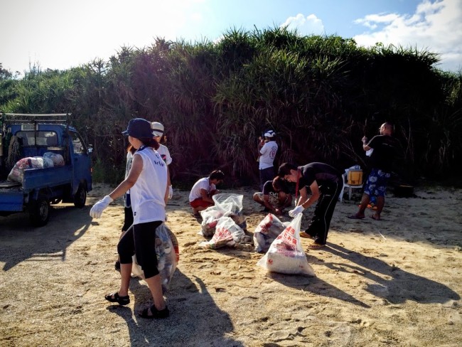 沖縄やんばるでビーチクリーンをする学生ボランティア