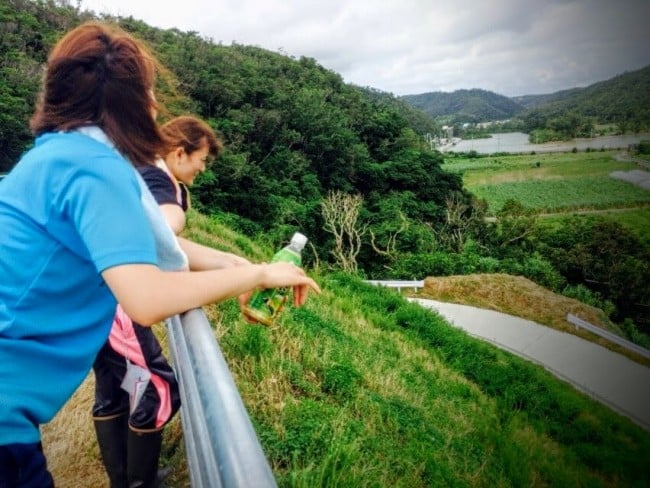 沖縄やんばるでボランティア活動をする学生