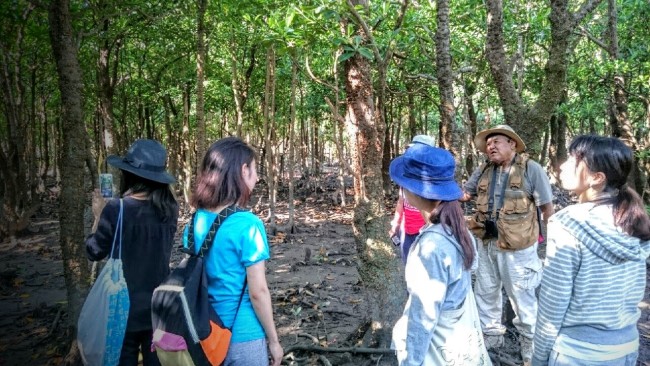 沖縄やんばるの自然を散策する学生ボランティア