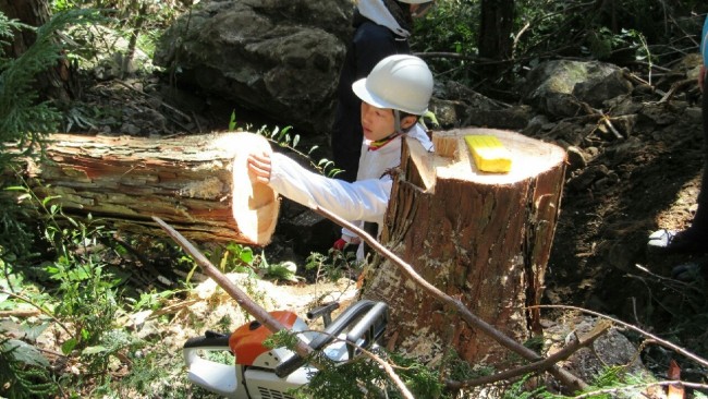 菊池さんの指導のもと、全員、1本ずつ木を切ることができました！