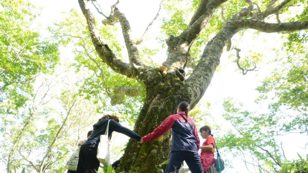北海道の離島「奥尻島」、春休みの村おこしボランティア参加者募集中