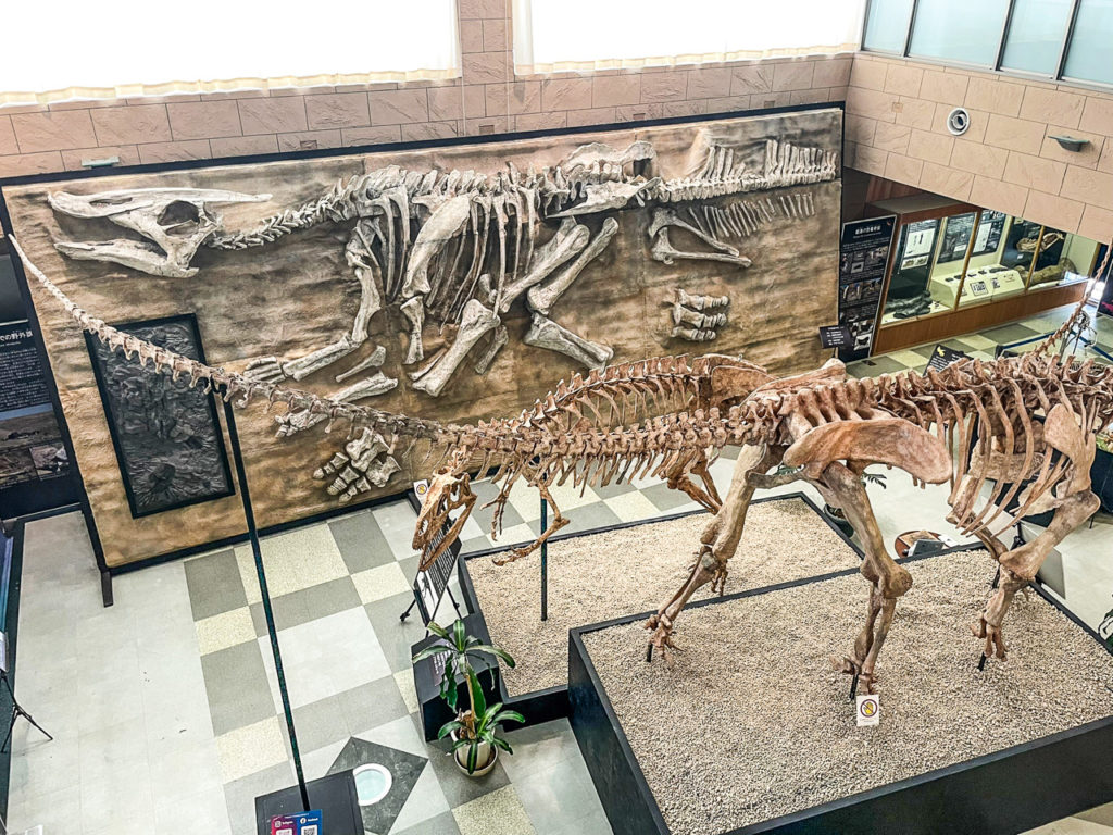 甑ミュージアム恐竜化石等準備室の写真