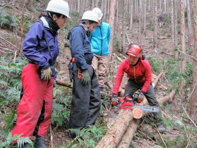 林内で自伐林業の実践をおこなっている村おこしボランティア【四万十川・林業コース】参加者の様子