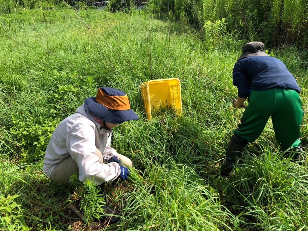 村おこしボランティア【江田島コース】での活動の様子