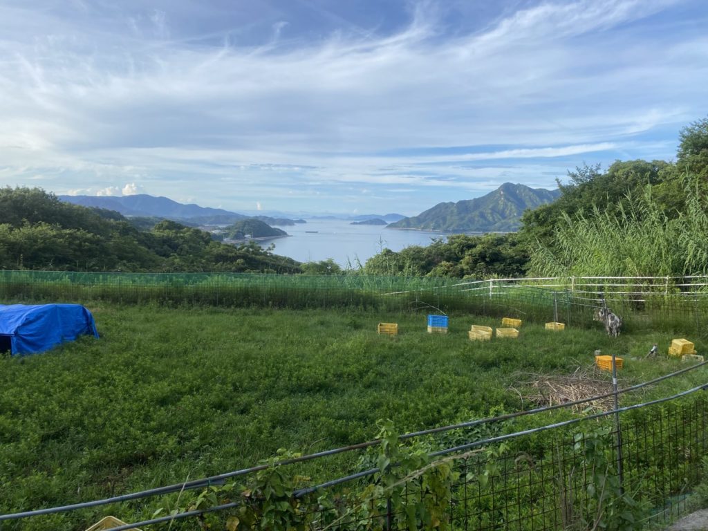 村おこしボランティア【江田島コース】での活動の様子