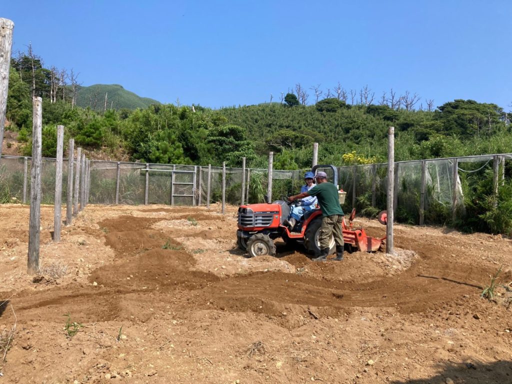 村おこしボランティア【悪石島コース】での活動の様子