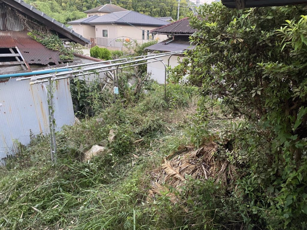 村おこしボランティア【江田島コース】での活動の様子