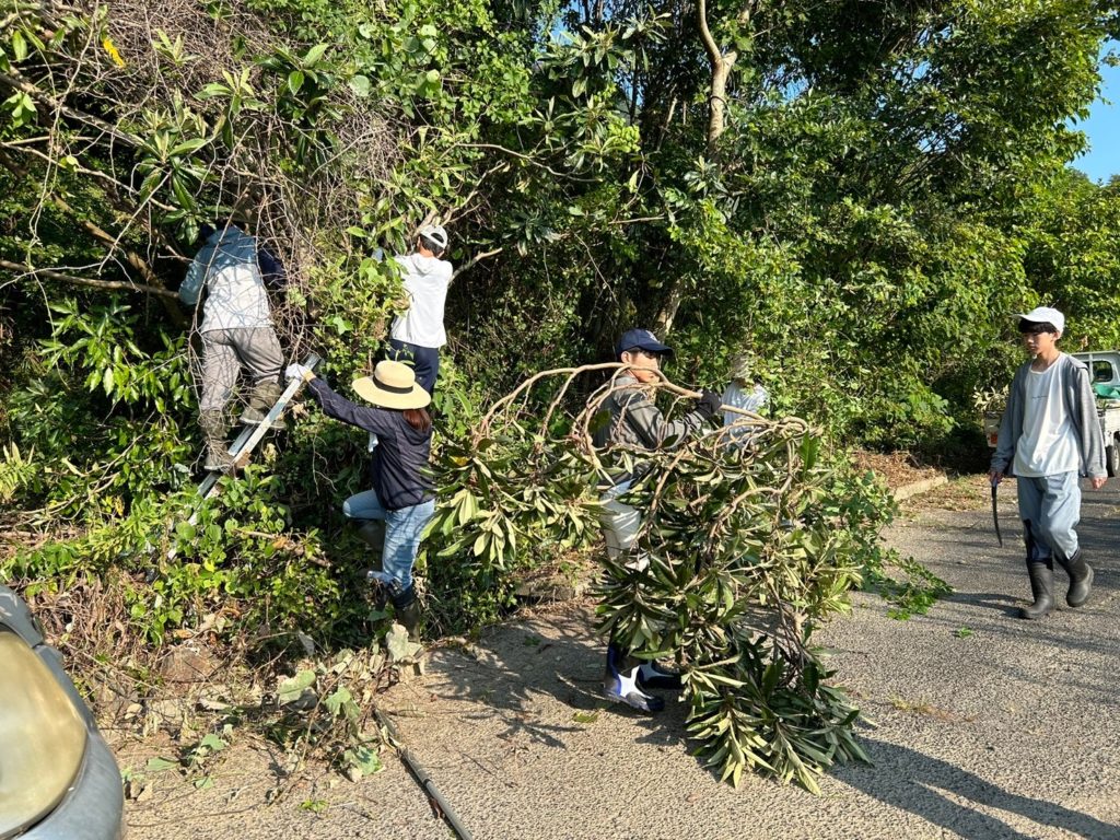 村おこしボランティア【江田島コース】での活動の様子