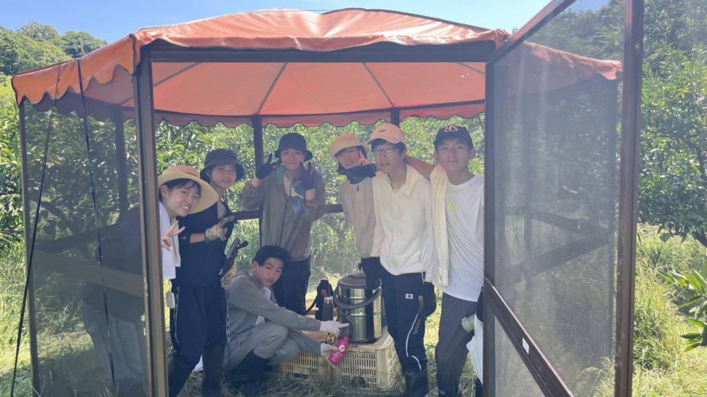 村おこしボランティア【江田島コース】での活動の様子