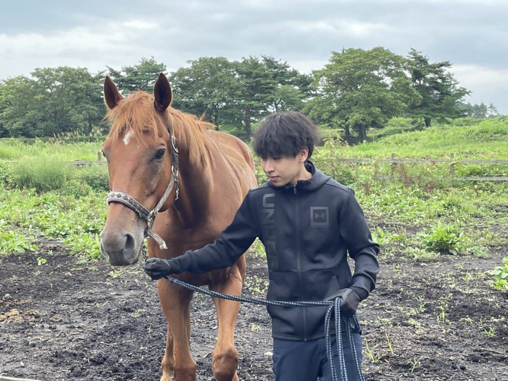 村おこしボランティア【八幡平コース】での活動の様子