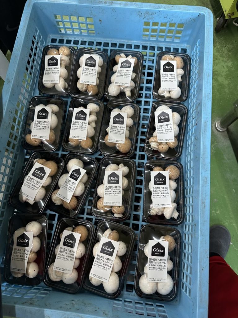 村おこしボランティア【八幡平コース】での活動の様子