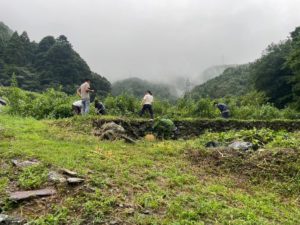 村おこしボランティア【石鎚山コース】での活動の様子