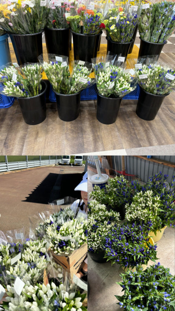 村おこしボランティア【太田町コース】での活動の様子