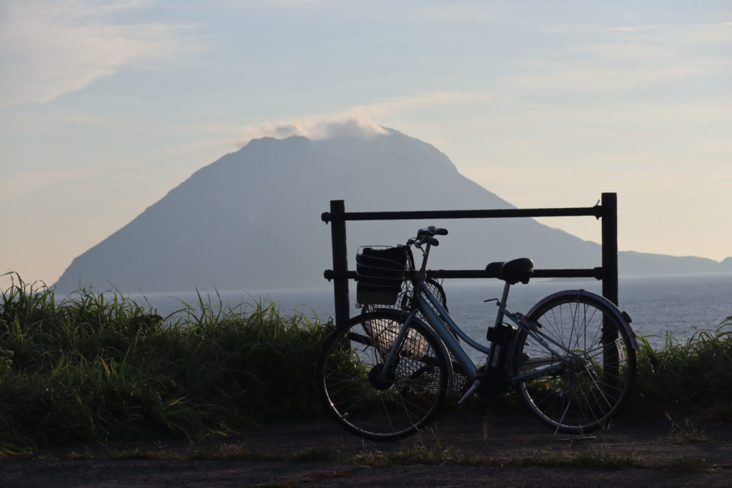 村おこしボランティア【さつま竹島コース】での活動の様子