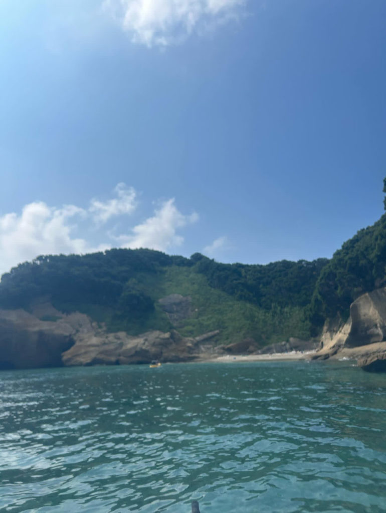 村おこしボランティア【種子島コース】での活動の様子