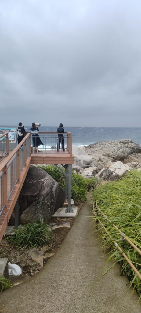 村おこしボランティア【徳之島コース】での活動の様子