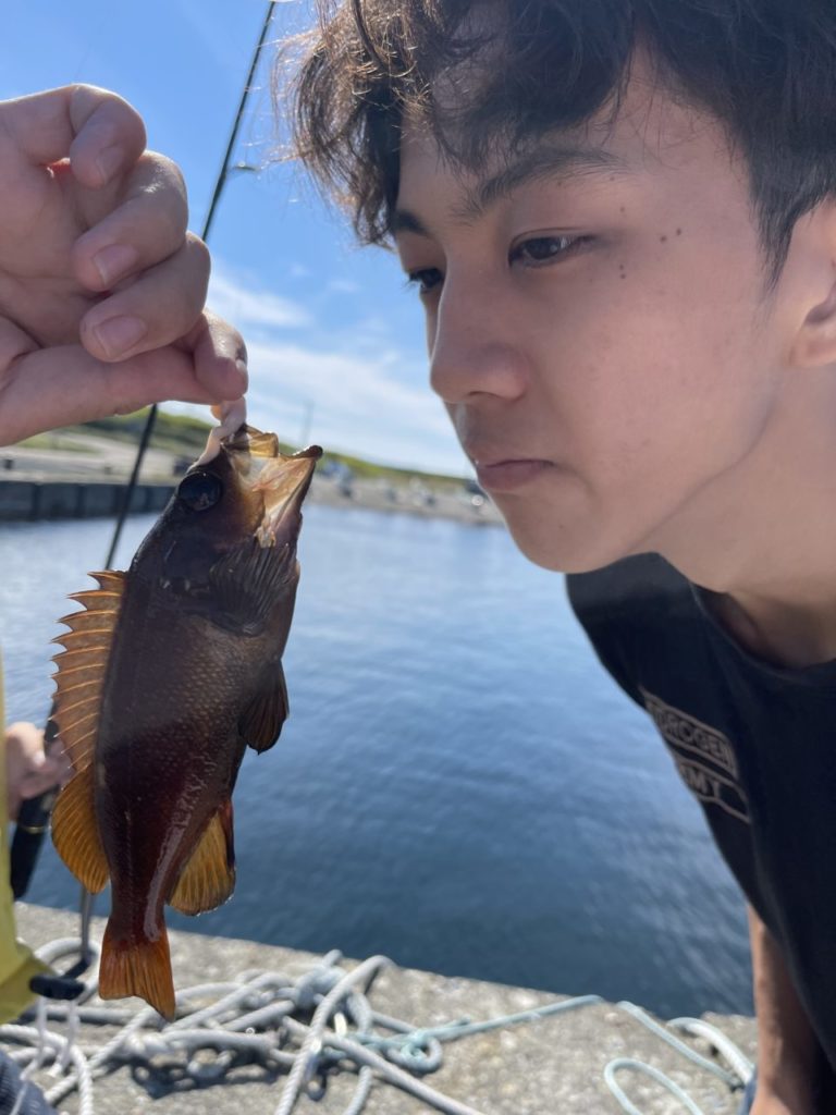 村おこしボランティア【焼尻島コース】での活動の様子