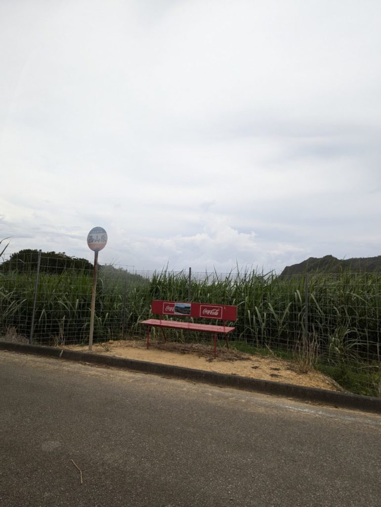 村おこしボランティア【沖縄やんばるコース】での活動の様子