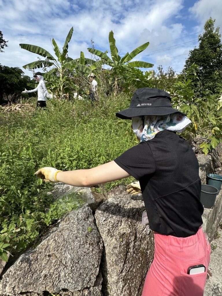 村おこしボランティア【沖縄やんばるコース】での活動の様子