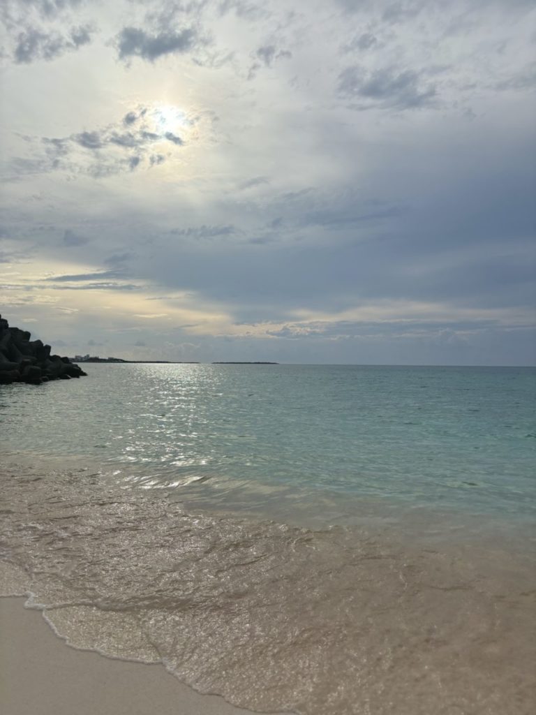 村おこしボランティア【与論島コース】での活動の様子