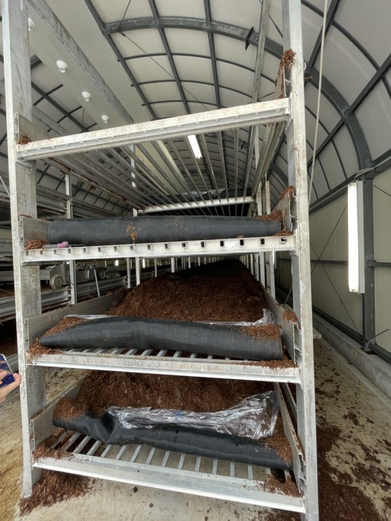 村おこしボランティア【八幡平コース】での活動の様子