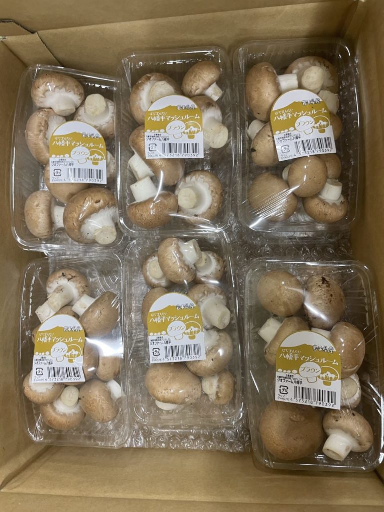 村おこしボランティア【八幡平コース】での活動の様子