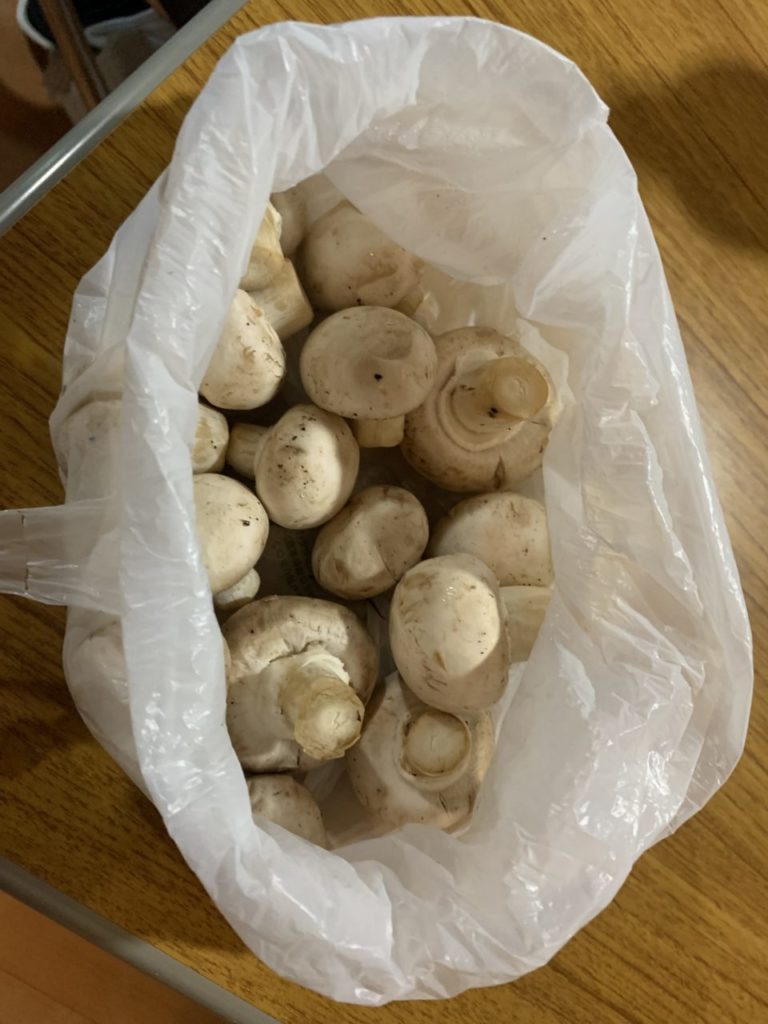 村おこしボランティア【八幡平コース】での活動の様子