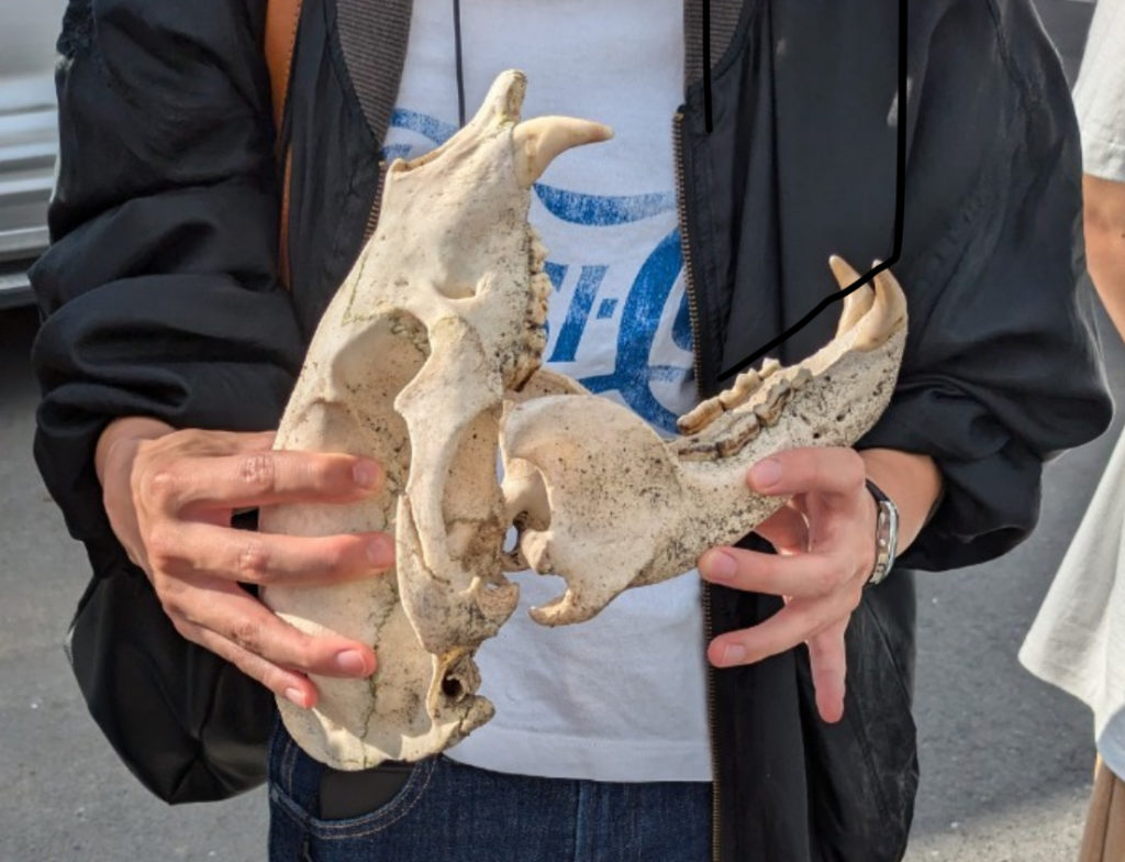 村おこしボランティア【大槌コース】での活動の様子